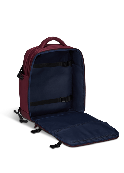Lipault plume essentials laptop backpack online