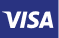 Online-Bezahlung mit visa electron